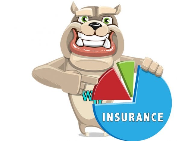 Rodney Webb Key Performance Indicators (KPIs) Efficiency Reports: Insurance course image