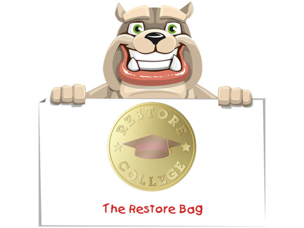 Rodney Webb Restore: The Resore Bag course image